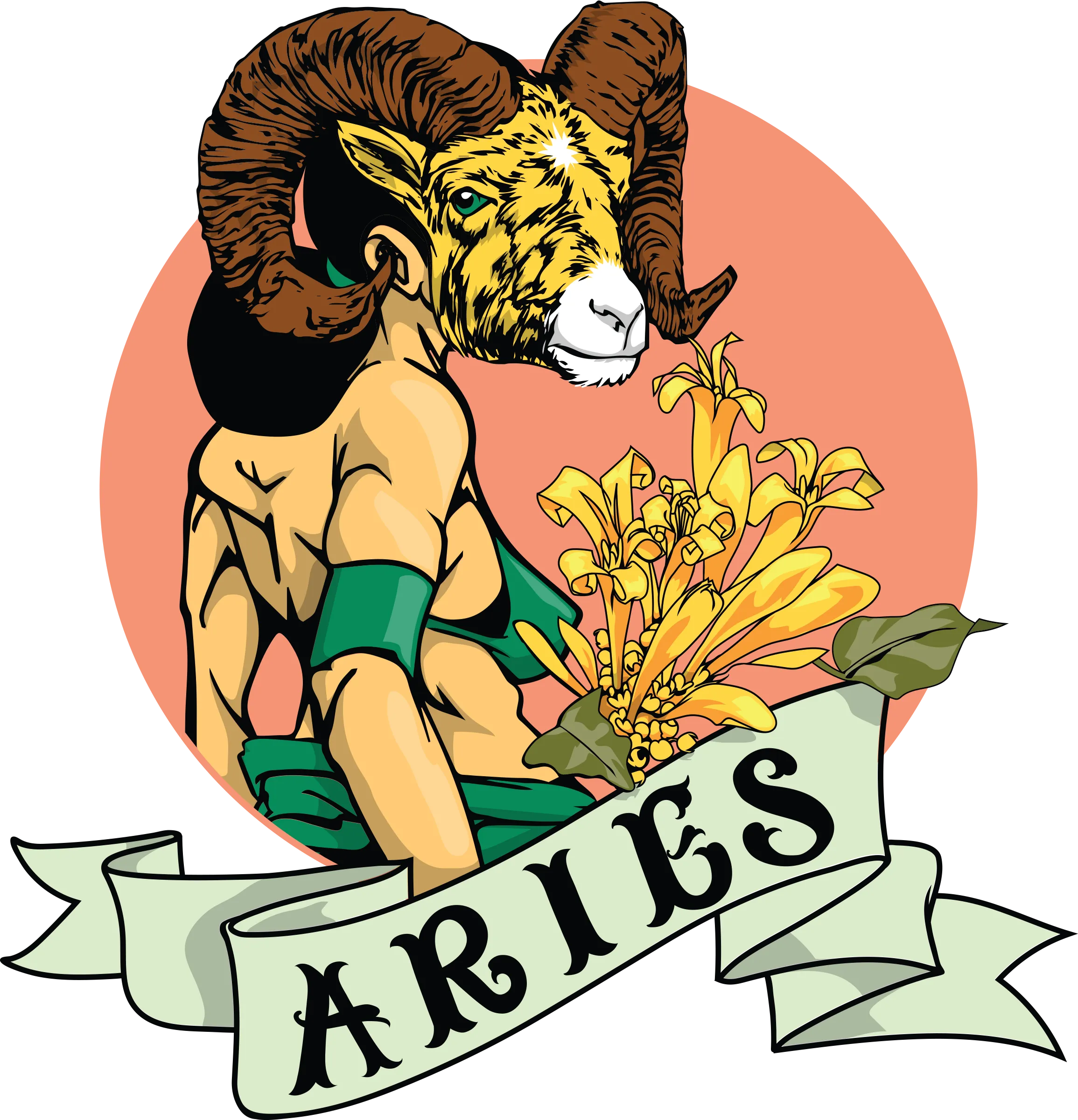 ARIES BY SAM FLORES  MEN'S HOODIE