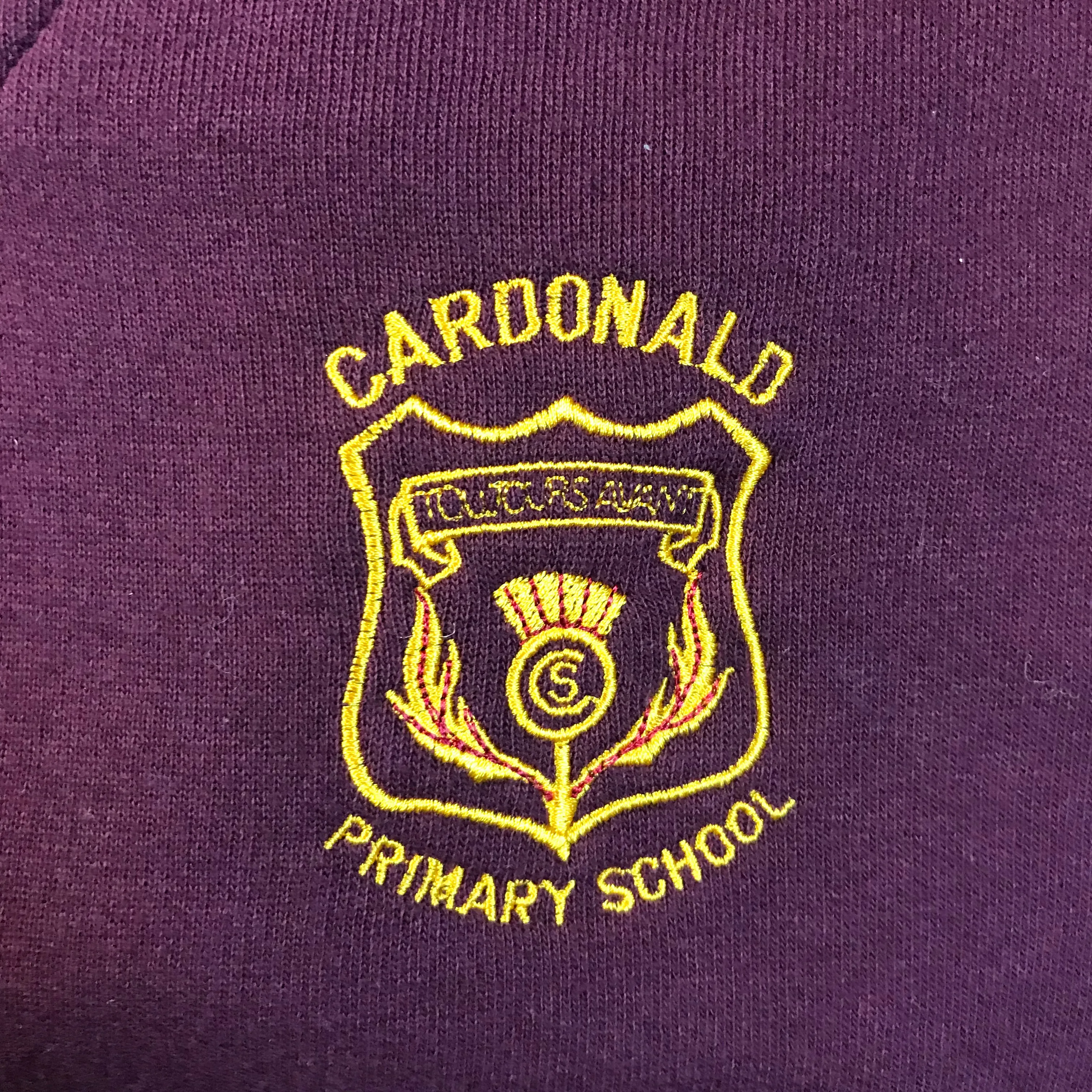 *Cardonald Primary Burgundy V-neck Sweatshirt