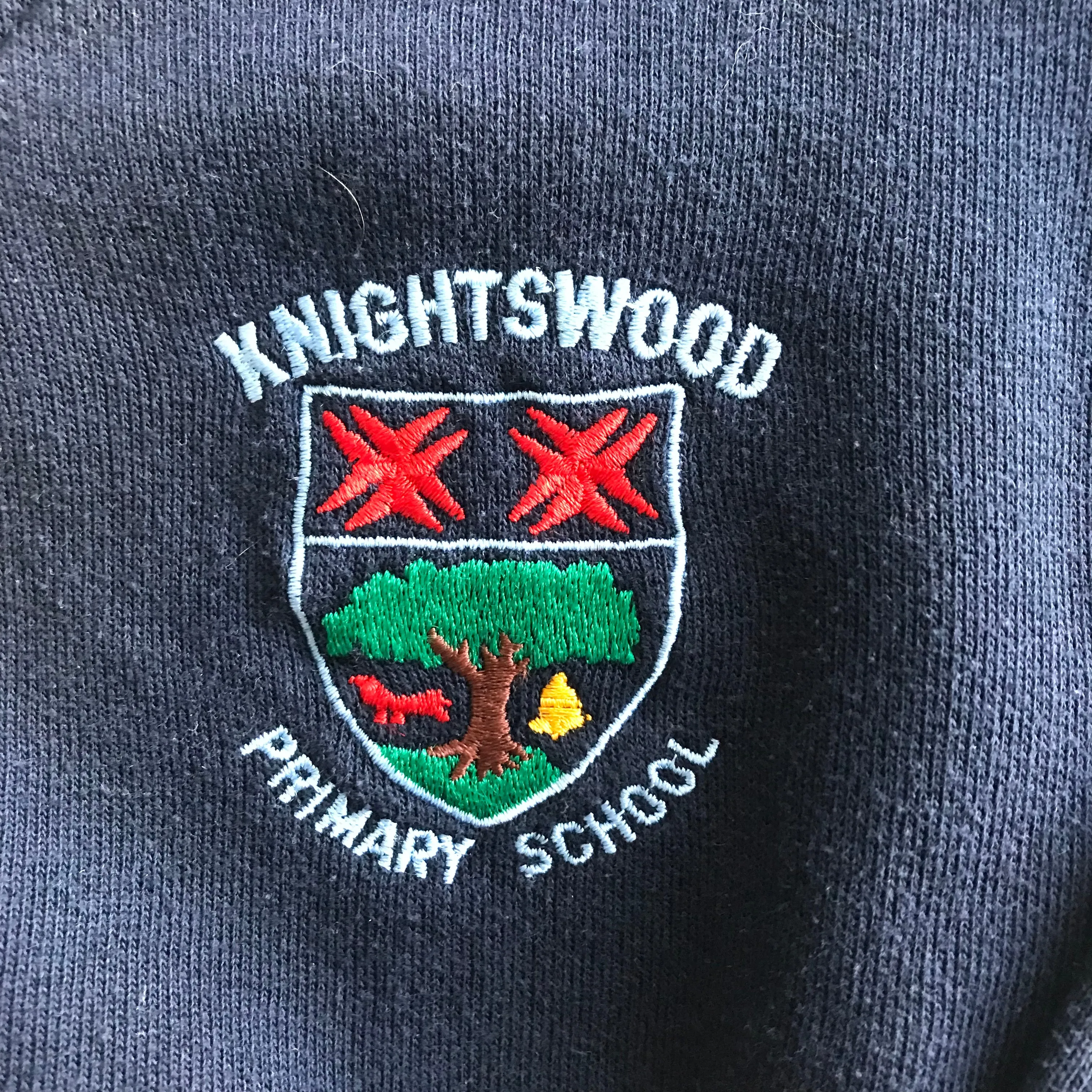 *Knightswood Primary Navy V-neck sweatshirt
