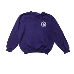 *Sandwood Primary Purple V-neck Sweatshirt